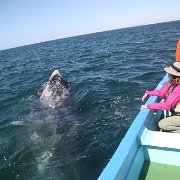 IMG 0001 2 (315)